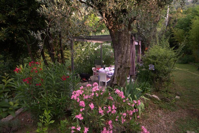 Bastide De La Lauve Bed & Breakfast Magagnosc ภายนอก รูปภาพ