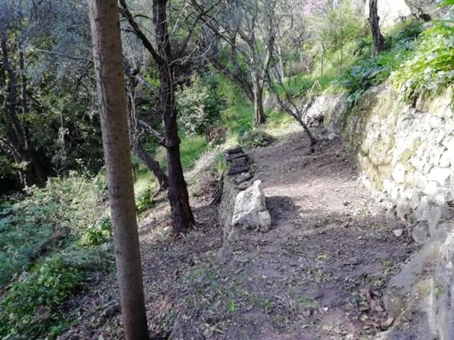 Bastide De La Lauve Bed & Breakfast Magagnosc ภายนอก รูปภาพ